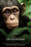 Click image for larger version

Name:	chimpanzee.jpg
Views:	1
Size:	5.0 KB
ID:	41234