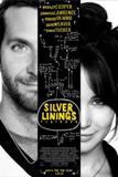 Click image for larger version

Name:	silver-linings-playbook.jpg
Views:	3
Size:	5.6 KB
ID:	42090