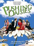 Click image for larger version

Name:	pushing_daisies_s2_poster-480x644.jpg
Views:	1
Size:	91.0 KB
ID:	42487