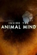 Click image for larger version

Name:	inside.the.animal.mind.jpg
Views:	1
Size:	37.0 KB
ID:	43662