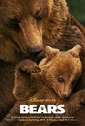 Click image for larger version

Name:	Bears_2014.jpg
Views:	1
Size:	16.8 KB
ID:	44153