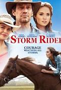 Click image for larger version

Name:	storm.rider.jpg
Views:	1
Size:	14.8 KB
ID:	44269