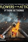 Click image for larger version

Name:	If There Be Thorns.jpg
Views:	1
Size:	18.1 KB
ID:	46112