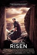 Click image for larger version

Name:	risen.jpg
Views:	1
Size:	28.6 KB
ID:	46259
