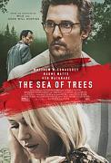 Click image for larger version

Name:	The Sea of Trees.jpg
Views:	1
Size:	16.0 KB
ID:	46682