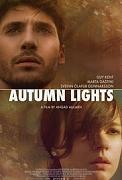 Click image for larger version

Name:	Autumn Lights.jpg
Views:	1
Size:	12.2 KB
ID:	46852