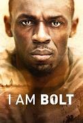 Click image for larger version

Name:	I Am Bolt.jpg
Views:	1
Size:	13.4 KB
ID:	46952