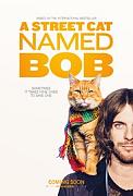 Click image for larger version

Name:	A Street Cat Named Bob.jpg
Views:	1
Size:	13.5 KB
ID:	47076