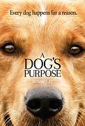 Click image for larger version

Name:	A Dogs Purpose.jpg
Views:	2
Size:	17.6 KB
ID:	47197