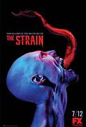 Click image for larger version

Name:	The Strain.jpg
Views:	1
Size:	9.7 KB
ID:	47478