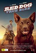 Click image for larger version

Name:	Red Dog True Blue.jpg
Views:	2
Size:	15.8 KB
ID:	47589