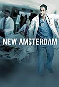 Click image for larger version

Name:	New Amsterdam.jpg
Views:	1
Size:	9.9 KB
ID:	48406