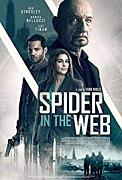 Click image for larger version

Name:	Spider in the Web.jpg
Views:	1
Size:	14.0 KB
ID:	49179