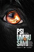 Click image for larger version

Name:	psi-umiru-sami-poster-202x300.jpg
Views:	1
Size:	15.9 KB
ID:	49022