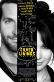 Click image for larger version

Name:	silver-linings-playbook.jpg
Views:	3
Size:	5.6 KB
ID:	41394