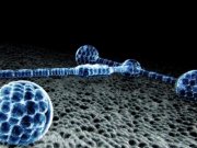 Click image for larger version

Name:	289827_3.jpg
Views:	1
Size:	8.1 KB
ID:	37323