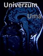 Click image for larger version

Name:	univerzum.uma.jpg
Views:	1
Size:	20.4 KB
ID:	45092