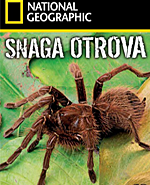 Click image for larger version

Name:	snaga_otrova_dvd_frontpage_image.png
Views:	1
Size:	99.0 KB
ID:	36869