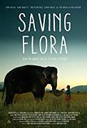 Click image for larger version

Name:	Saving Flora.jpg
Views:	1
Size:	9.8 KB
ID:	49082