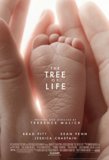 Click image for larger version

Name:	tree_of_life.jpg
Views:	1
Size:	4.6 KB
ID:	37679