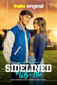 Click image for larger version  Name:	Sidelined The QB and Me.jpg Views:	0 Size:	19.8 KB ID:	52018