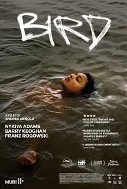 Click image for larger version

Name:	Bird.jpg
Views:	2955
Size:	18.2 KB
ID:	52043