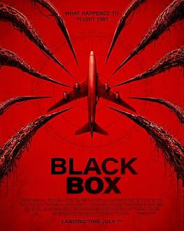 Click image for larger version  Name:	Black Box.jpg Views:	0 Size:	64.1 KB ID:	53892