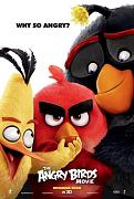 Click image for larger version

Name:	Angry_Birds.jpg
Views:	2
Size:	40.3 KB
ID:	46528